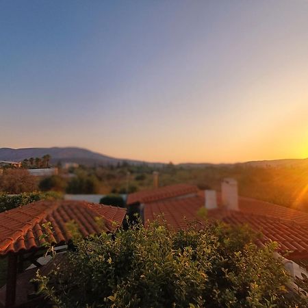 New Olivka House Villa Anavyssos Exterior photo